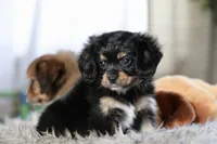 processed/11c1a304-a39c-4292-b4e1-7f9b2d4db758/listing/22e7dde3-1df2-4c2d-80da-bc71cac609bd/ab6e4e90-dde2-4f14-8de1-292a31294b3f