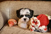 processed/11c1a304-a39c-4292-b4e1-7f9b2d4db758/listing/71ef621e-e687-49ec-8c6c-b24e10a898ef/f342c2aa-d6a8-44ca-be49-c43a533ec598