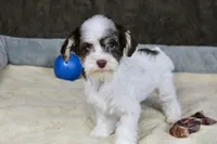 processed/11c1a304-a39c-4292-b4e1-7f9b2d4db758/listing/74e685ca-e107-4ec0-b351-3925e71f4b9d/6f3ebc27-781f-4d34-a8da-b35a50d31634