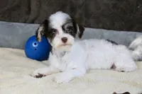 processed/11c1a304-a39c-4292-b4e1-7f9b2d4db758/listing/74e685ca-e107-4ec0-b351-3925e71f4b9d/71abf63b-d99a-409e-99ae-fd866a999e09