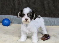 processed/11c1a304-a39c-4292-b4e1-7f9b2d4db758/listing/74e685ca-e107-4ec0-b351-3925e71f4b9d/a72c699b-dc04-4706-be82-f22aadc2a17a