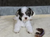 processed/11c1a304-a39c-4292-b4e1-7f9b2d4db758/listing/74e685ca-e107-4ec0-b351-3925e71f4b9d/e87db654-e9eb-407b-937d-7f74818b0a4c