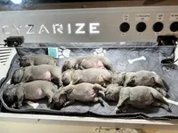Facility photo