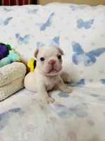 processed/11c35c54-33a8-4fc8-ba6b-2984eadb8a27/listing/b6238265-f5e6-4816-b9d6-dc43c96369b0/c240ef47-7385-48d1-9b8c-a50ff31470d7