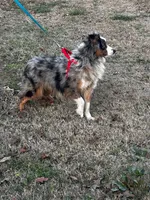 processed/11cae1a9-ac31-4ea5-bf6e-226e00c03dce/listing/c43f0f56-c293-4620-8a51-0b5c46e2faa2/2dd1e9cc-2c7a-4a31-82be-007ef957acbc