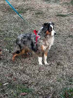 processed/11cae1a9-ac31-4ea5-bf6e-226e00c03dce/listing/c43f0f56-c293-4620-8a51-0b5c46e2faa2/deec22b0-dcc2-40eb-8640-f7e7cec4d5ee