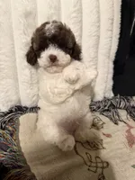 processed/11cfe89d-c1f5-47d0-a77e-7085e5d53e7e/listing/0b2bdebf-89aa-4df5-a083-dcf70d5f3db1/a1bcdeea-35a9-4594-a27b-40a7af740862