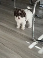 processed/11cfe89d-c1f5-47d0-a77e-7085e5d53e7e/listing/0b2bdebf-89aa-4df5-a083-dcf70d5f3db1/b6ceba12-fdca-42d3-af72-1d5a7d3cc0cf