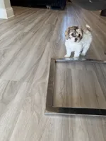 processed/11cfe89d-c1f5-47d0-a77e-7085e5d53e7e/listing/583f9cd2-682d-4c4e-8fad-da0140b5eed1/1c3ab1a8-28bb-41b5-ac5c-a92e9408a6a4