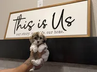 processed/11cfe89d-c1f5-47d0-a77e-7085e5d53e7e/listing/583f9cd2-682d-4c4e-8fad-da0140b5eed1/6c2c35da-1941-4451-876d-7f78a0d4a7de