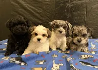 processed/11cfe89d-c1f5-47d0-a77e-7085e5d53e7e/listing/63bc9e00-67bb-48d7-8834-cf989b20e721/453011a7-af2c-48d1-95e9-02d3847fc71a