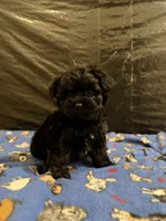 processed/11cfe89d-c1f5-47d0-a77e-7085e5d53e7e/listing/63bc9e00-67bb-48d7-8834-cf989b20e721/77291234-357c-46b8-94fa-ed4d0035b4d7