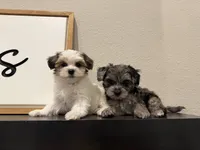 processed/11cfe89d-c1f5-47d0-a77e-7085e5d53e7e/listing/d422fb82-29ea-47e8-be91-a2f695c61856/d9dc25ed-7b8a-4a53-bc2d-0420bafd3928