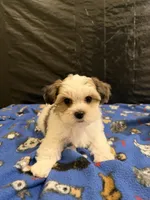 processed/11cfe89d-c1f5-47d0-a77e-7085e5d53e7e/listing/d422fb82-29ea-47e8-be91-a2f695c61856/f6d41b97-6c08-419c-9e24-77825119e396