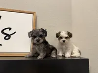 processed/11cfe89d-c1f5-47d0-a77e-7085e5d53e7e/listing/e029faab-141d-4e50-8a85-6e7d45fb60d4/6cb3f9b8-ee3b-4809-a314-48f3155e128b