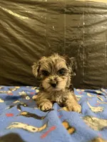 processed/11cfe89d-c1f5-47d0-a77e-7085e5d53e7e/listing/e029faab-141d-4e50-8a85-6e7d45fb60d4/a3340e87-a689-4ee3-becb-5f4b8e66d0a2