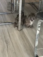 processed/11cfe89d-c1f5-47d0-a77e-7085e5d53e7e/listing/f9147aa3-e0b5-432f-bd09-ae308fb83772/25e9cba3-01c0-4e84-ab30-1ac5d9f1c1fe