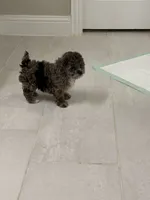 processed/11cfe89d-c1f5-47d0-a77e-7085e5d53e7e/listing/f9147aa3-e0b5-432f-bd09-ae308fb83772/8a79efac-37ee-4605-a455-87e4f879b3b4