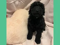 processed/11d5db77-735b-4807-8060-b477dc151ced/listing/23774361-9cb8-40e3-8f63-a285e092b4b5/4a4675c1-8fe6-4b53-8c82-b2d8757bad85