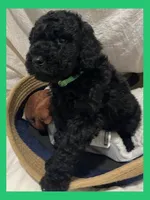 processed/11d5db77-735b-4807-8060-b477dc151ced/listing/23774361-9cb8-40e3-8f63-a285e092b4b5/7e1ebbe0-ebb6-48e8-a6c4-d7d8b03d3d58