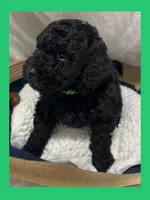 processed/11d5db77-735b-4807-8060-b477dc151ced/listing/23774361-9cb8-40e3-8f63-a285e092b4b5/8489372b-3fde-423c-b381-ad2cd5abb24f