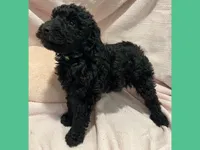 processed/11d5db77-735b-4807-8060-b477dc151ced/listing/23774361-9cb8-40e3-8f63-a285e092b4b5/8b79bd23-d003-463b-b2f5-12f1b59406f2