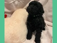 processed/11d5db77-735b-4807-8060-b477dc151ced/listing/23774361-9cb8-40e3-8f63-a285e092b4b5/b33ed047-d805-4602-bac9-201c1ec231c4