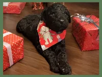 processed/11d5db77-735b-4807-8060-b477dc151ced/listing/23774361-9cb8-40e3-8f63-a285e092b4b5/c4c41e9e-6ab4-4b3d-98eb-6d3a99b8db7d