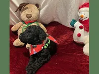 processed/11d5db77-735b-4807-8060-b477dc151ced/listing/23774361-9cb8-40e3-8f63-a285e092b4b5/c56804d3-1350-4ce8-ad32-e999ded9767f