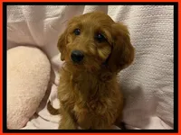 processed/11d5db77-735b-4807-8060-b477dc151ced/listing/60a00ca1-f12a-4082-9fd5-39f45817e649/62df7f9c-2616-4621-815b-04aeef7c4181