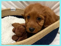 processed/11d5db77-735b-4807-8060-b477dc151ced/listing/60a00ca1-f12a-4082-9fd5-39f45817e649/729f800f-204f-45b4-8568-450624f87a5a