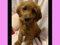 processed/11d5db77-735b-4807-8060-b477dc151ced/listing/60a00ca1-f12a-4082-9fd5-39f45817e649/7916f394-c162-4aa6-8b4f-e2bbb87ddc27