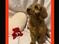 processed/11d5db77-735b-4807-8060-b477dc151ced/listing/60a00ca1-f12a-4082-9fd5-39f45817e649/7dee01b8-2ab4-4df1-b91a-bf4f00b7dfcc