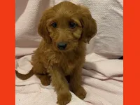 processed/11d5db77-735b-4807-8060-b477dc151ced/listing/60a00ca1-f12a-4082-9fd5-39f45817e649/9f093d03-6a0e-4409-8dbc-8fa77fc2065a