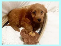 processed/11d5db77-735b-4807-8060-b477dc151ced/listing/60a00ca1-f12a-4082-9fd5-39f45817e649/c32d8cc1-23e3-462e-9ada-dab4937f0704