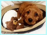 processed/11d5db77-735b-4807-8060-b477dc151ced/listing/60a00ca1-f12a-4082-9fd5-39f45817e649/d43b6b38-251b-48a1-99c5-0037c9f906b8