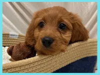 processed/11d5db77-735b-4807-8060-b477dc151ced/listing/60a00ca1-f12a-4082-9fd5-39f45817e649/d947ba7b-9567-4baf-a185-62b64061da02