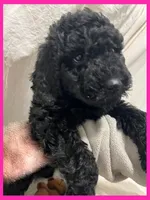 processed/11d5db77-735b-4807-8060-b477dc151ced/listing/e91cd565-c2ac-45e7-aa41-0fd328997183/063c4eb9-f785-442c-99a5-084d4f1edb6b