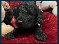 processed/11d5db77-735b-4807-8060-b477dc151ced/listing/e91cd565-c2ac-45e7-aa41-0fd328997183/211a4747-e5f5-4b87-829c-b6ecd676a950