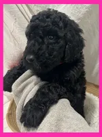 processed/11d5db77-735b-4807-8060-b477dc151ced/listing/e91cd565-c2ac-45e7-aa41-0fd328997183/7bc890de-f26c-4a96-a26e-9c194c499752