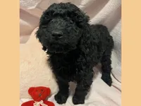 processed/11d5db77-735b-4807-8060-b477dc151ced/listing/e91cd565-c2ac-45e7-aa41-0fd328997183/85a8c48a-c07e-4086-bb46-fdcf9aac04fa