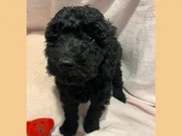 processed/11d5db77-735b-4807-8060-b477dc151ced/listing/e91cd565-c2ac-45e7-aa41-0fd328997183/9c91caf9-7167-4cfd-bac5-b93ab22cc733