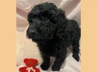 processed/11d5db77-735b-4807-8060-b477dc151ced/listing/e91cd565-c2ac-45e7-aa41-0fd328997183/9c949536-753f-49aa-b050-019a09ac437b