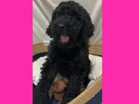 processed/11d5db77-735b-4807-8060-b477dc151ced/listing/e91cd565-c2ac-45e7-aa41-0fd328997183/d2e4a0a6-f65f-49e7-9b6d-b8e93f1427fd