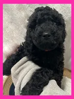 processed/11d5db77-735b-4807-8060-b477dc151ced/listing/e91cd565-c2ac-45e7-aa41-0fd328997183/f5ecd508-ed08-44b8-bc9d-533304f23ee7