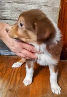 processed/11d7cfb9-c218-419c-8336-d2006f8d0700/listing/519bb4f0-b883-4265-b0eb-f064d74c6422/6820bf7e-ad76-4860-af73-cec0477efe05