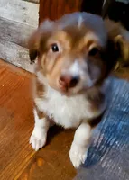 processed/11d7cfb9-c218-419c-8336-d2006f8d0700/listing/519bb4f0-b883-4265-b0eb-f064d74c6422/cbbfd917-1bfb-4ad0-8314-392f931a9a94