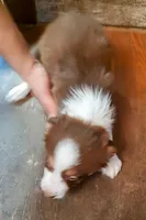 processed/11d7cfb9-c218-419c-8336-d2006f8d0700/listing/519bb4f0-b883-4265-b0eb-f064d74c6422/e31e6a22-0ab7-4541-8fcb-c5aae0ce86d5