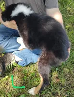 processed/11d7cfb9-c218-419c-8336-d2006f8d0700/listing/e3e904b8-464c-4a92-af9d-34f8e4ee43b3/0f04750e-0b37-4300-bca4-773bbc583177