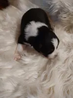 processed/11d7cfb9-c218-419c-8336-d2006f8d0700/listing/e3e904b8-464c-4a92-af9d-34f8e4ee43b3/4902efd1-d3f4-445e-8454-2e9520fd3dab